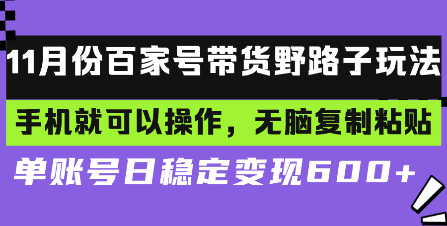 百家号带货野路子玩法 手机就可以操作，无脑复制粘贴 单账号日稳定变现…-天韵资源网