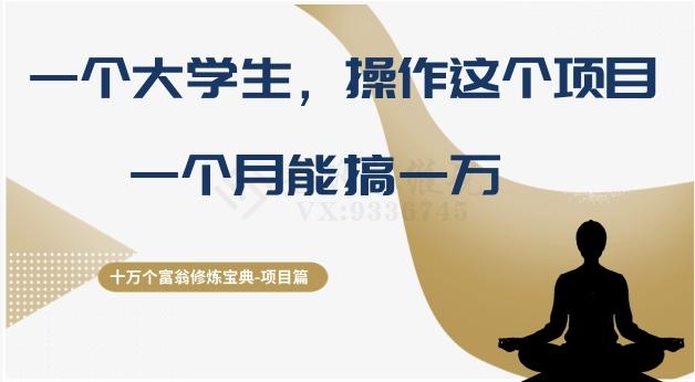 十万个富翁修炼宝典之4.一个大学生操作这个项目，一个月能搞一万-天韵资源网