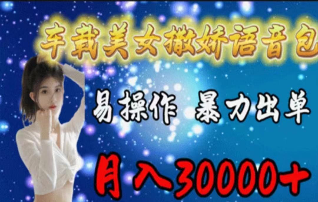 车载美女撒娇语音包，执行就出单，月入3000＋，小白看完课程就能马上实操-天韵资源网