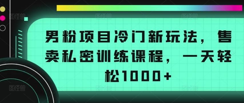 男粉项目冷门新玩法，售卖私密训练课程，一天轻松1000+【揭秘】-天韵资源网