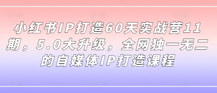 小红书IP打造60天实战营11期，5.0大升级，全网独一无二的自媒体IP打造课程-天韵资源网