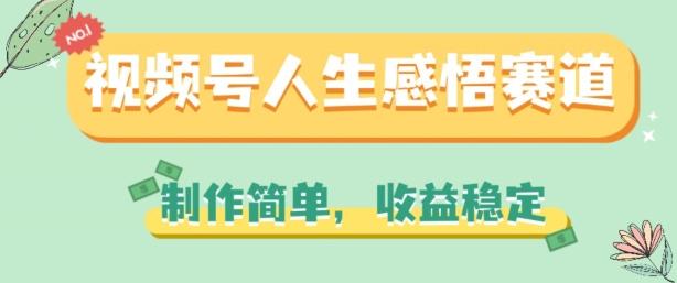 视频号人生感悟赛道，制作简单，收益稳定【揭秘】-天韵资源网