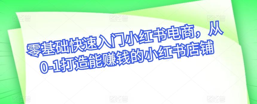 零基础快速入门小红书电商，从0-1打造能赚钱的小红书店铺-天韵资源网