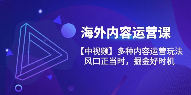 海外内容 运营课【中视频】多种内容运营玩法 风口正当时 掘金好时机-101节-天韵资源网