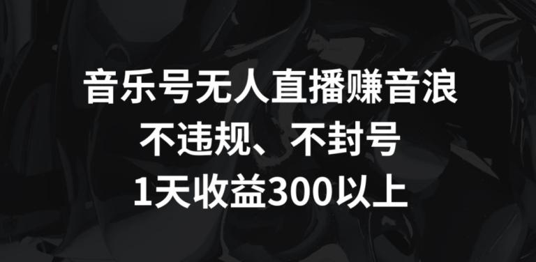 音乐号无人直播赚音浪，不违规、不封号，1天收益300+【揭秘】-天韵资源网