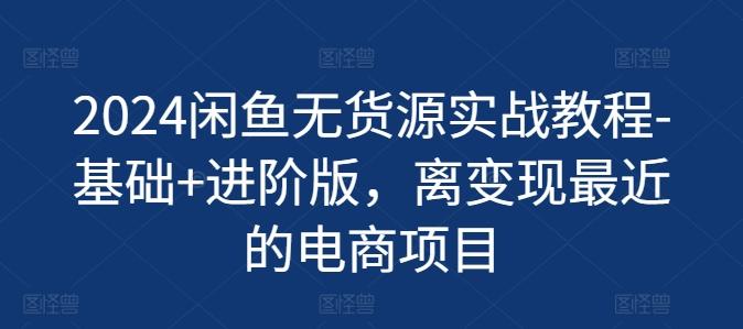 2024闲鱼无货源实战教程-基础+进阶版，离变现最近的电商项目-天韵资源网
