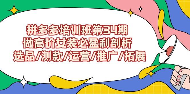(9333期)拼多多培训班第34期：做高价女装必盈利剖析  选品/测款/运营/推广/拓展-天韵资源网