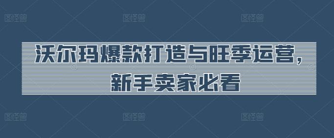沃尔玛爆款打造与旺季运营，新手卖家必看-天韵资源网
