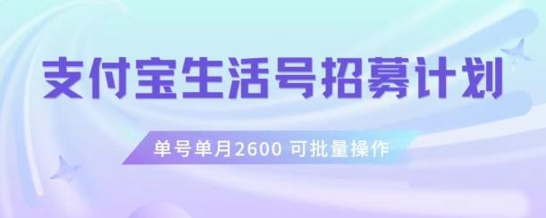 支付宝生活号作者招募计划，单号单月2600，可批量去做，工作室一人一个月轻松1w+【揭秘】-天韵资源网