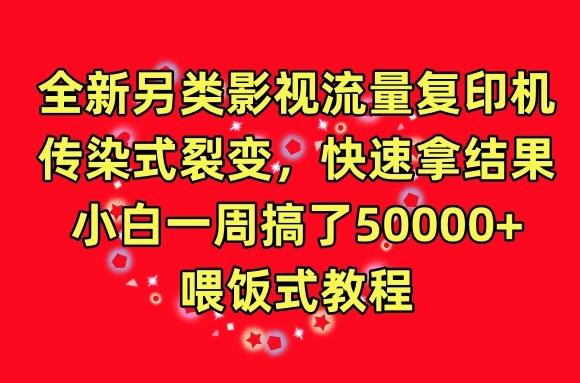 全新另类影视流量复印机，传染式裂变，快速拿结果，小白一周搞了50000+，喂饭式教程【揭秘】-天韵资源网