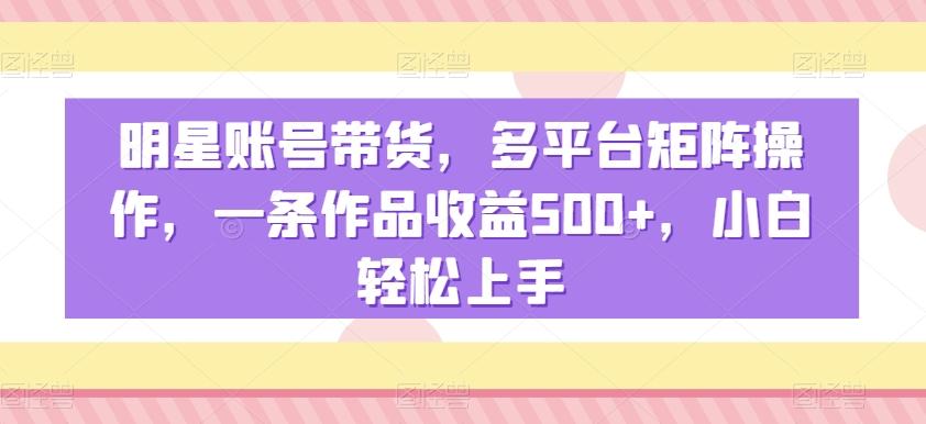 明星账号带货，多平台矩阵操作，一条作品收益500+，小白轻松上手【揭秘】-天韵资源网