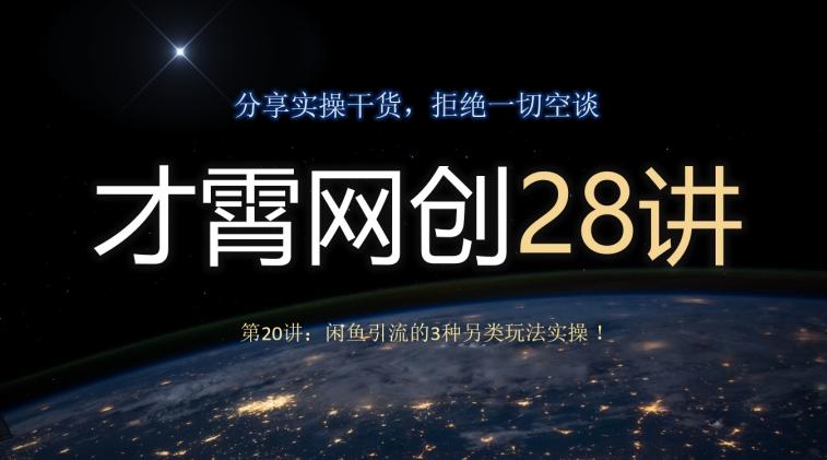 才霄网创28讲第20讲：闲鱼引流的3种另类玩法实操！-天韵资源网