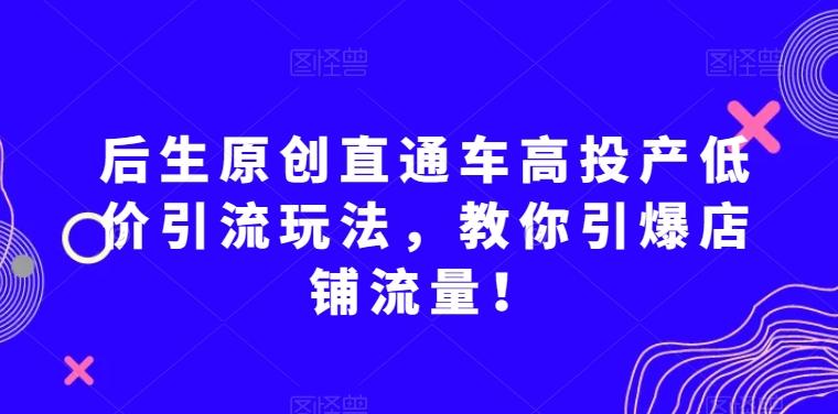 后生原创直通车高投产低价引流玩法，教你引爆店铺流量！-天韵资源网