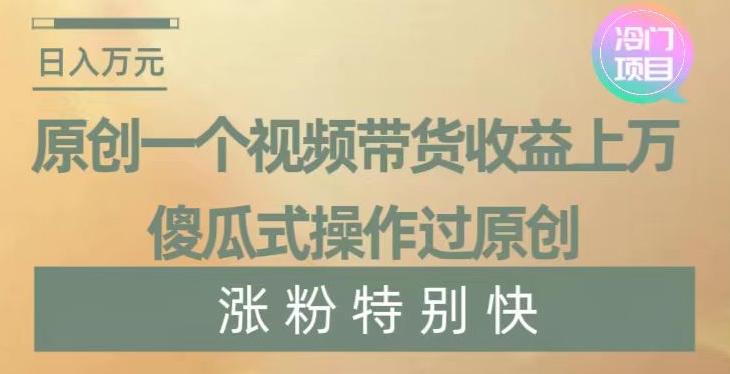 原创一个视频带货收益上万，傻瓜式操作过原创，几分钟做一个视频涨粉特别快【揭秘】-天韵资源网