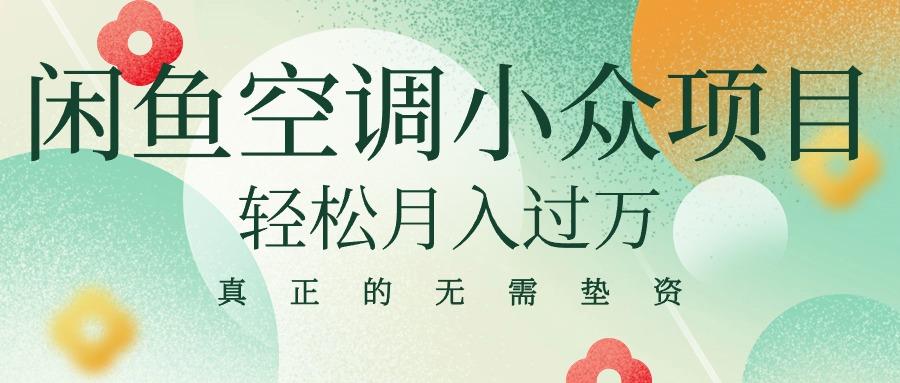 闲鱼卖空调小众项目 轻松月入过万 真正的无需垫资金-天韵资源网