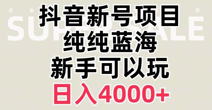 抖音蓝海赛道，必须是新账号，日入4000+【揭秘】-天韵资源网