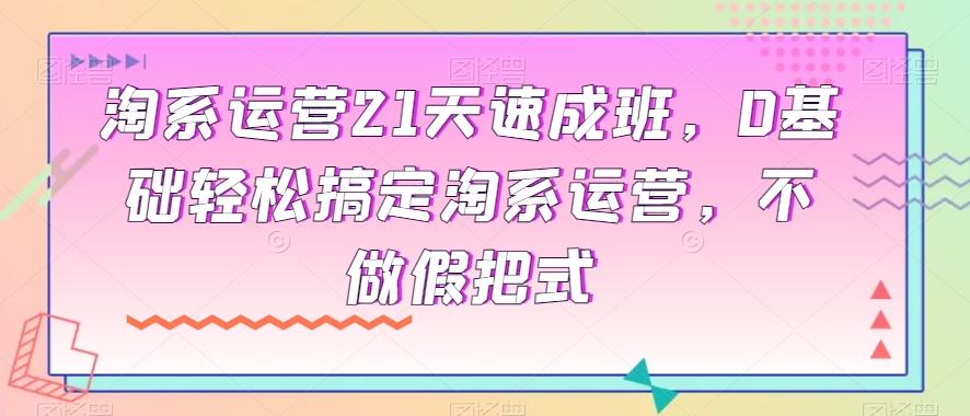 淘系运营21天速成班，0基础轻松搞定淘系运营，不做假把式-天韵资源网