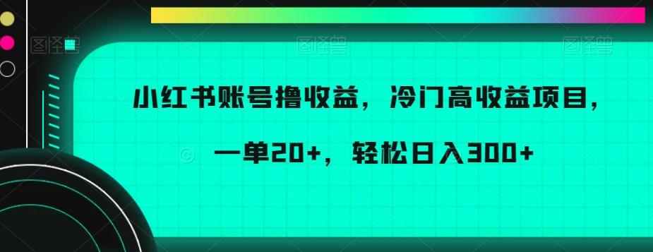 小红书账号撸收益，冷门高收益项目，一单20+，轻松日入300+【揭秘】-天韵资源网