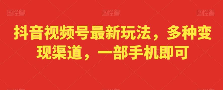 抖音视频号最新玩法，多种变现渠道，一部手机即可-天韵资源网