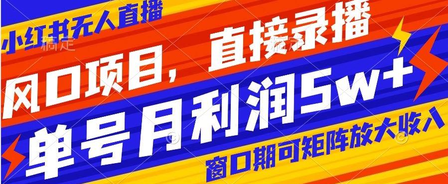风口项目，小红书无人直播带货，直接录播，可矩阵，月入5w+【揭秘】-天韵资源网
