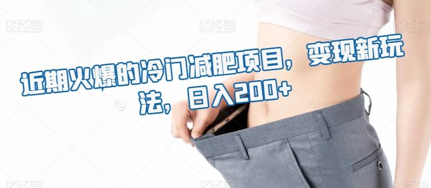近期火爆的冷门减肥项目，变现新玩法，日入200+-天韵资源网