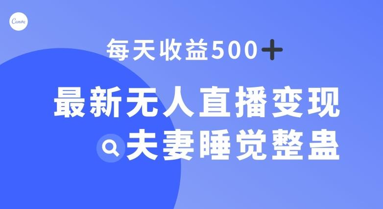 最新无人直播变现，夫妻睡觉整蛊，每天躺赚500+【揭秘】-天韵资源网