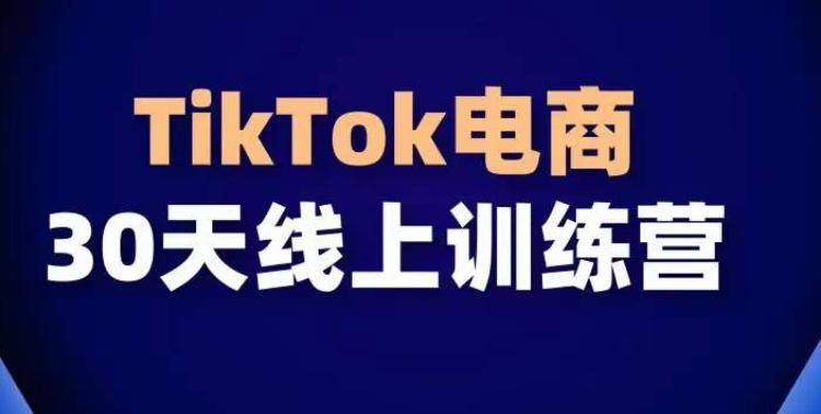TikTok电商带货30天线上课，不可错过的全球流量洼地！-天韵资源网
