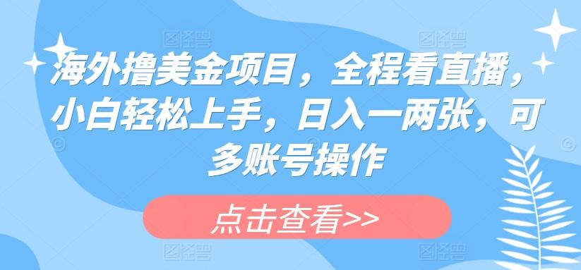 海外撸美金项目，全程看直播，小白轻松上手，日入一两张，可多账号操作【揭秘】-天韵资源网
