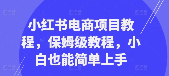 小红书电商项目教程，保姆级教程，小白也能简单上手-天韵资源网