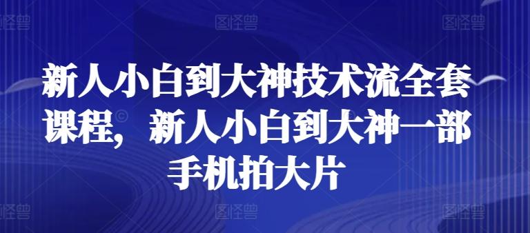 新人小白到大神技术流全套课程，新人小白到大神一部手机拍大片-天韵资源网