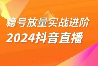 稳号放量实战进阶—2024抖音直播，直播间精细化运营的几大步骤-天韵资源网