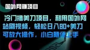 冷门撸美刀项目，利用国外网站刷视频，轻松日入80+美刀，可放大操作，小白随便上手-天韵资源网