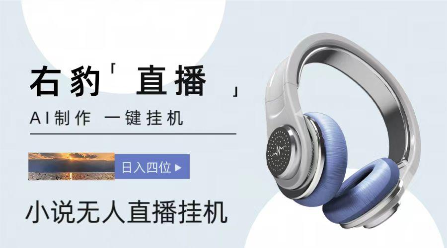 右豹小说无人直播挂机吸金项目，简单易行收益稳定， 月入1000+-天韵资源网