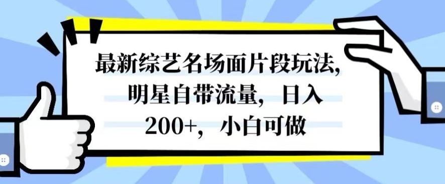 最新综艺名场面片段玩法，明星自带流量，日入200+，小白可做【揭秘】-天韵资源网