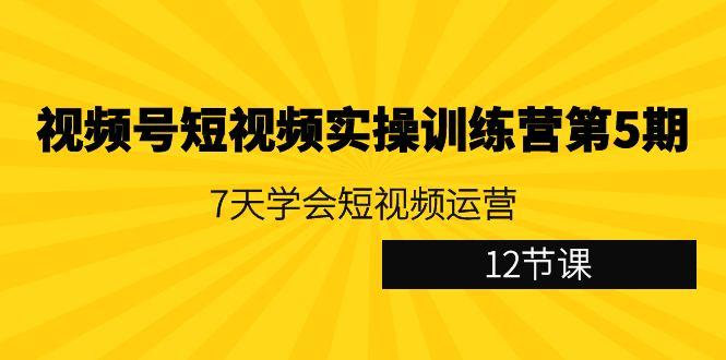 视频号短视频实操训练营第5期：7天学会短视频运营(12节课)-天韵资源网