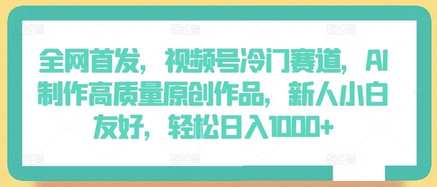 全网首发，视频号冷门赛道，AI制作高质量原创作品，新人小白友好，轻松日入1000+【揭秘】-天韵资源网