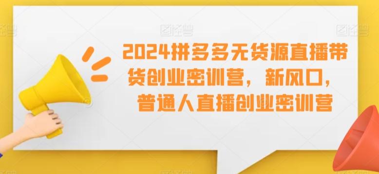 2024拼多多无货源直播带货创业密训营，新风口，普通人直播创业密训营-天韵资源网