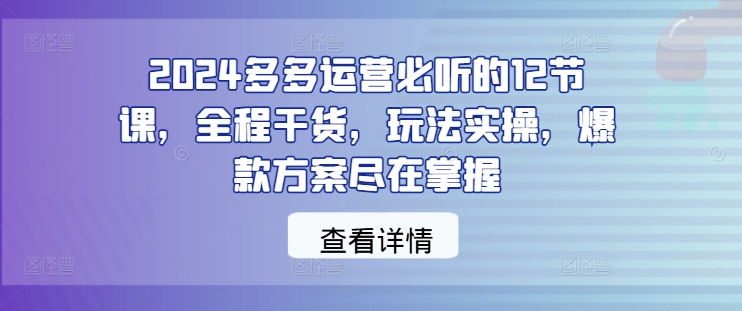2024多多运营必听的12节课，全程干货，玩法实操，爆款方案尽在掌握-天韵资源网