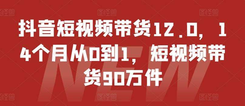 抖音短视频带货12.0，14个月从0到1，短视频带货90万件-天韵资源网