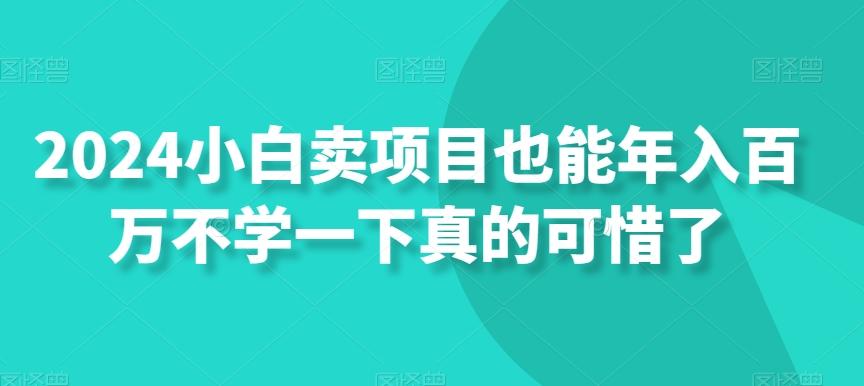 2024小白卖项目也能年入百万不学一下真的可惜了-天韵资源网