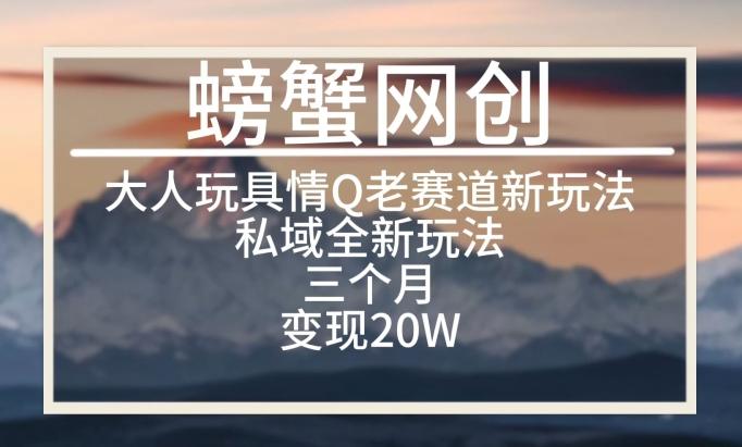 大人玩具情Q用品赛道私域全新玩法，三个月变现20W，老项目新思路【揭秘】-天韵资源网