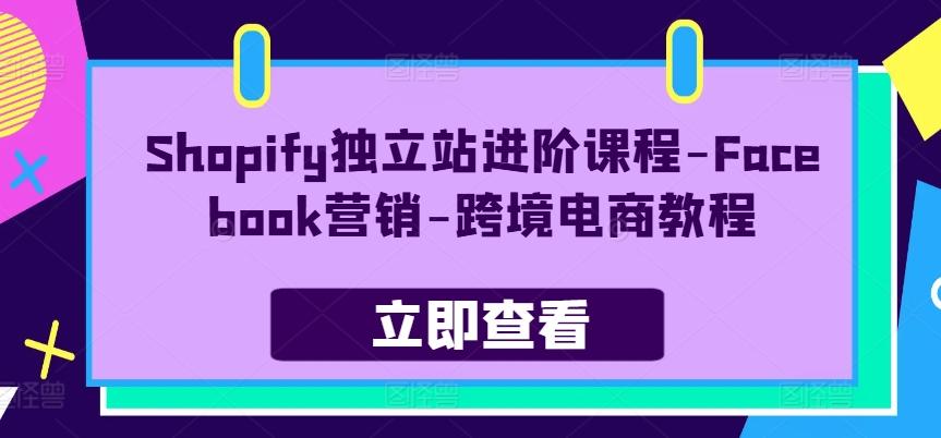 Shopify独立站进阶课程-Facebook营销-跨境电商教程-天韵资源网