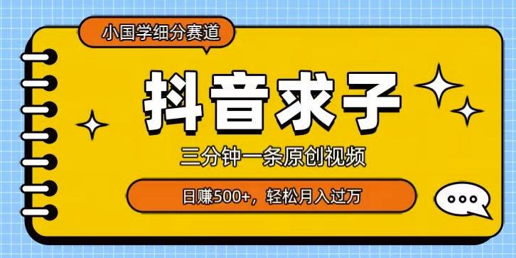 小国学细分赛道，三分钟一条原创视频，日赚500+，可矩阵复制-天韵资源网