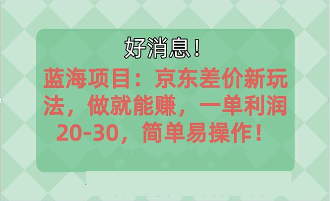 越早知道越能赚到钱的蓝海项目：京东大平台操作，一单利润20-30，简单…-天韵资源网