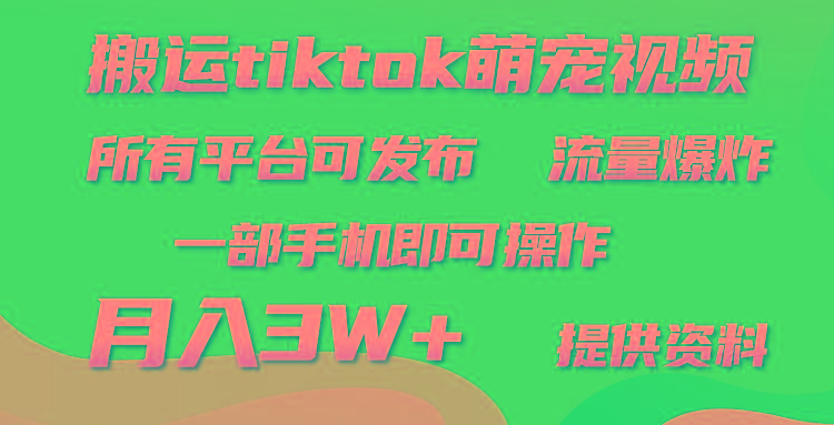 (9618期)搬运Tiktok萌宠类视频，一部手机即可。所有短视频平台均可操作，月入3W+-天韵资源网