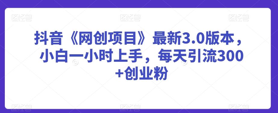 抖音《网创项目》最新3.0版本，小白一小时上手，每天引流300+创业粉【揭秘】-天韵资源网