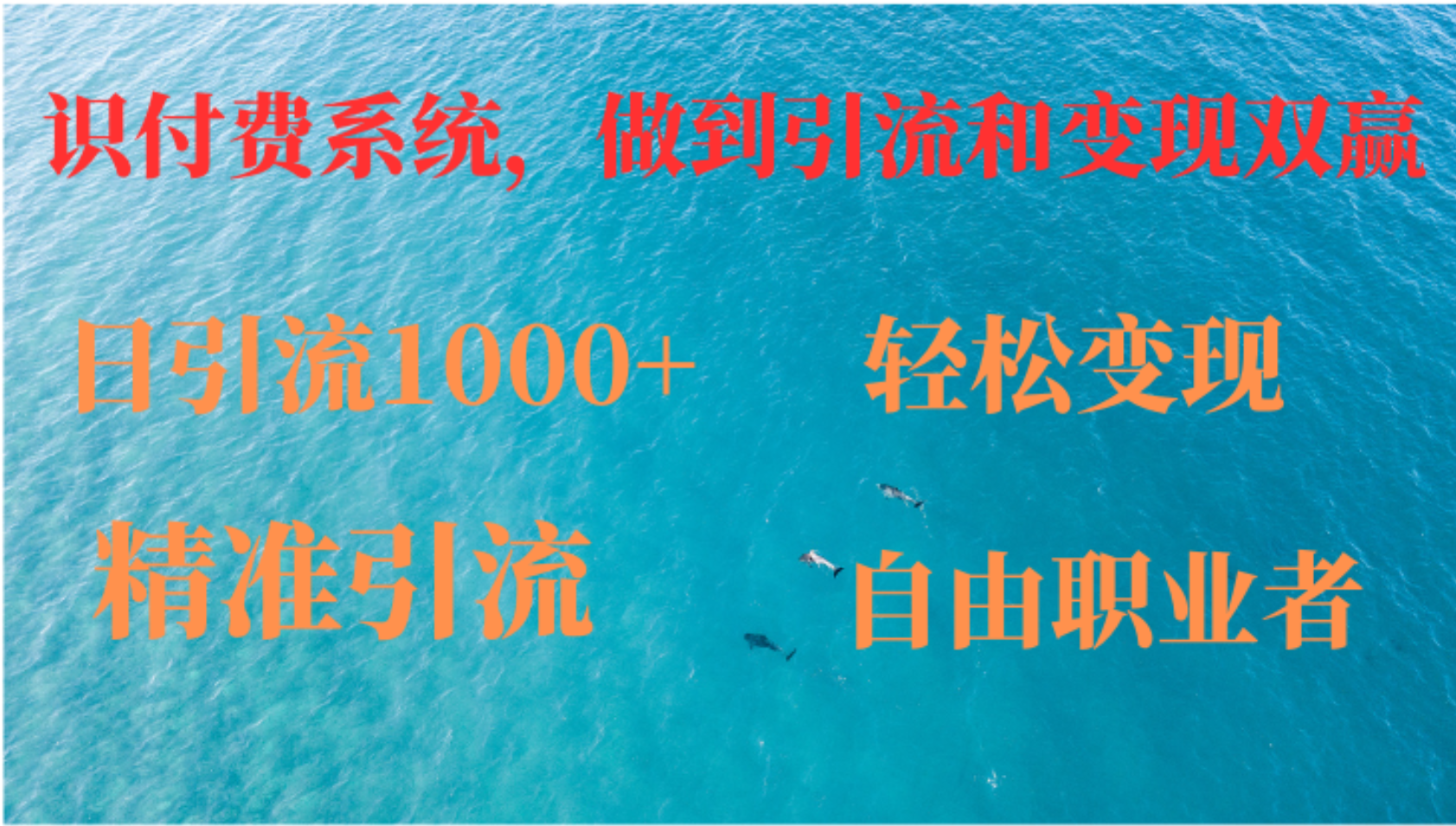 如何搭建自己的知识付费系统，做到引流和变现双赢-天韵资源网