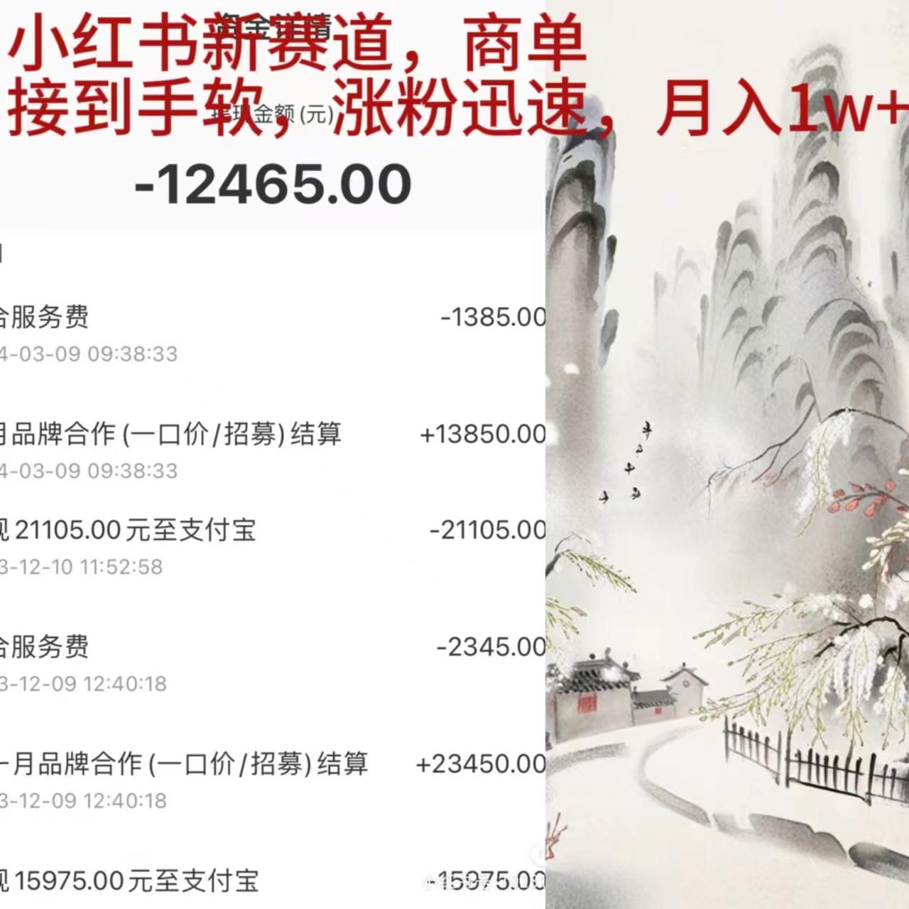 (9476期)小红书新赛道，商单接到手软，涨粉迅速，月入1w+-天韵资源网