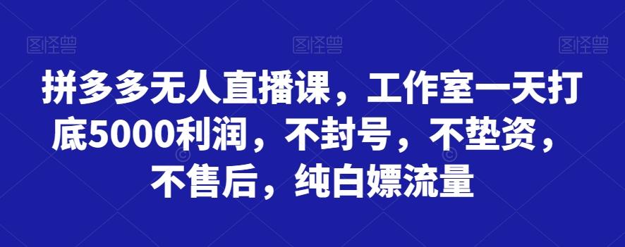 拼多多无人直播课，工作室一天打底5000利润，不封号，不垫资，不售后，纯白嫖流量-天韵资源网