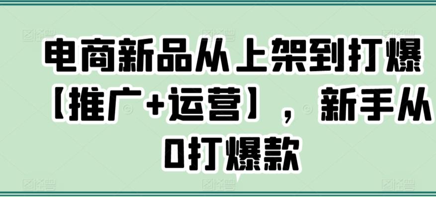 电商新品从上架到打爆【推广+运营】，新手从0打爆款-天韵资源网